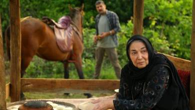 زمان بیشتری داشتیم سریالمان بهتر می شد