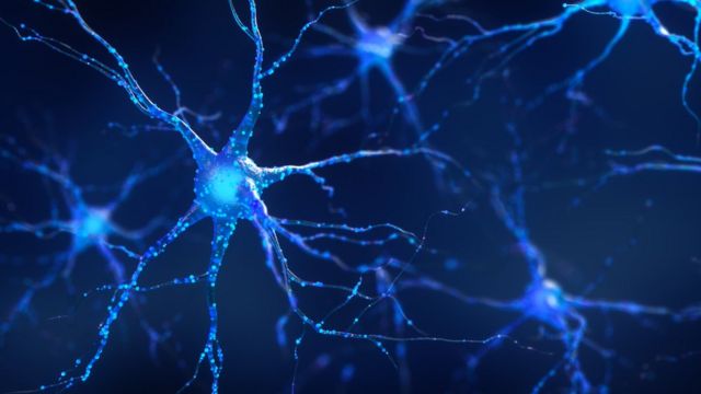 فعالیت سلول های عصبی در مغز