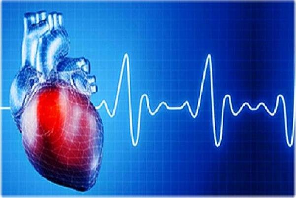 فیبریلاسیون دهلیزی مغز زنان را بیش از مردان تهدید می کند - خبرگزاری مهر | اخبار ایران و جهان