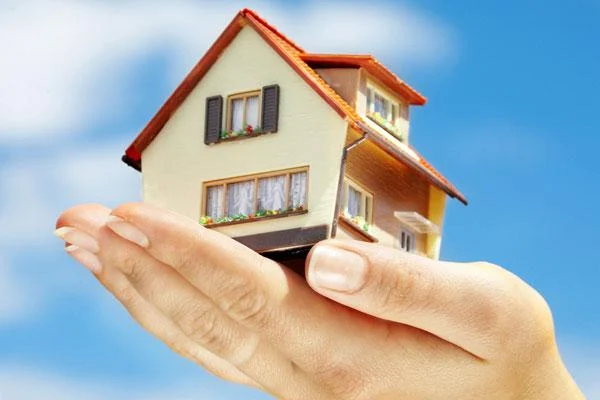 What is property presale