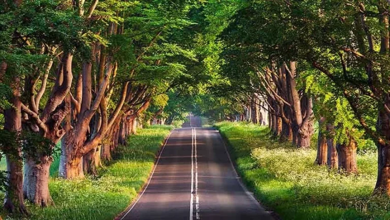 جاهای دیدنی مسیر مشهد به گرگان
