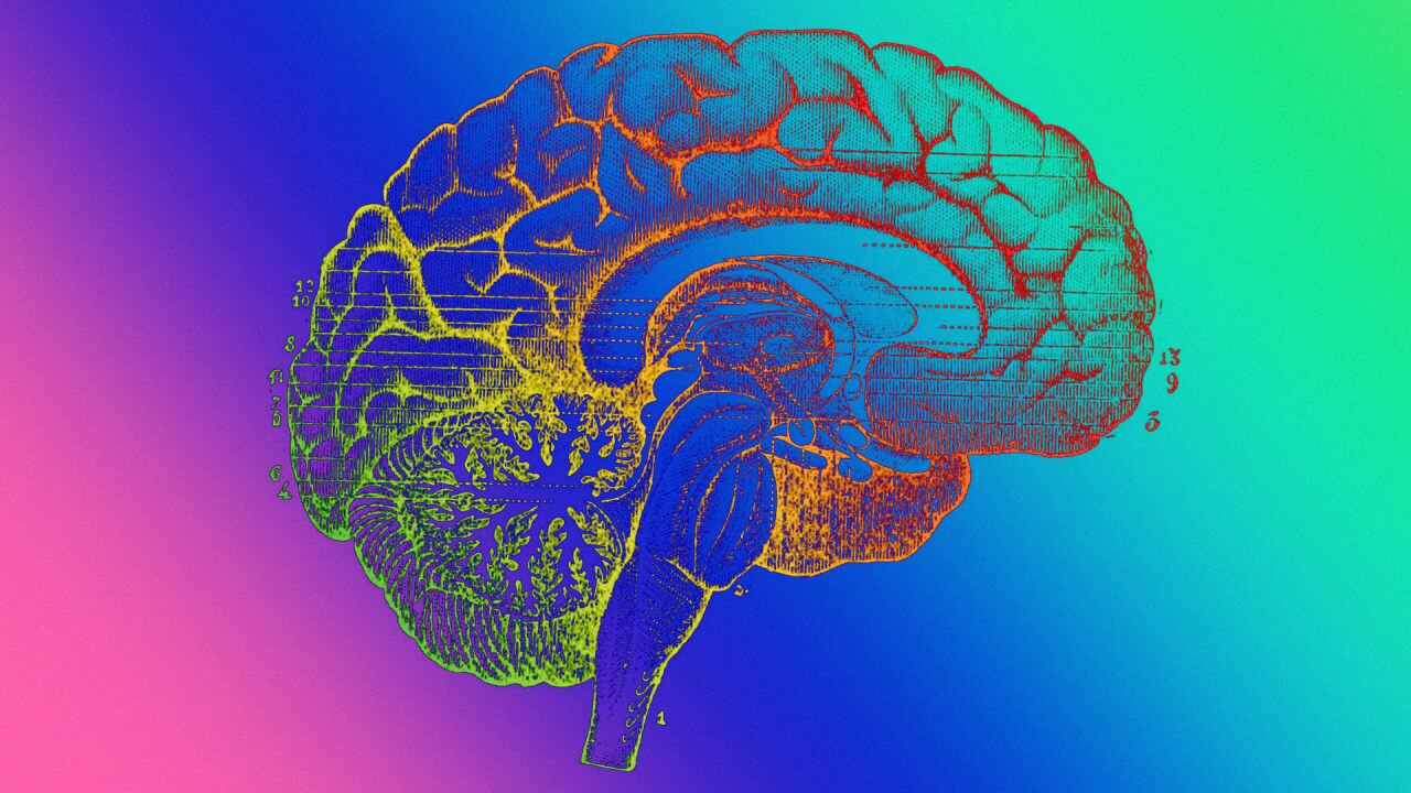 اسفناج و بادام چه تأثیری بر روی مغز دارند؟