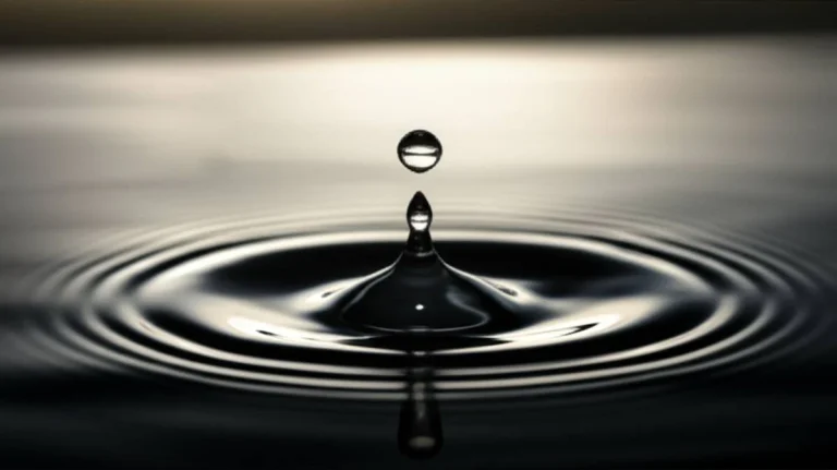 در شرف یعنی چه؟ | معنی و مفهوم کامل با مثال